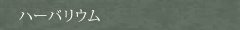 ハーバリウム